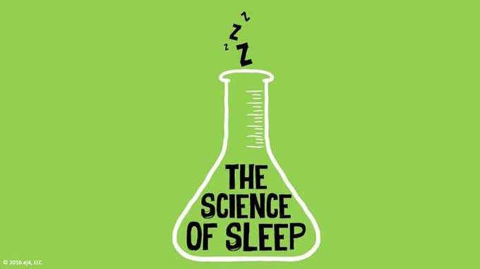 The Science of Sleep (HSI - ej4)